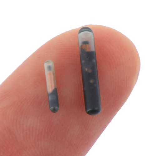Tag rfid animale - animale, microchip