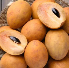 Semi di Sapodilla Zucchero di