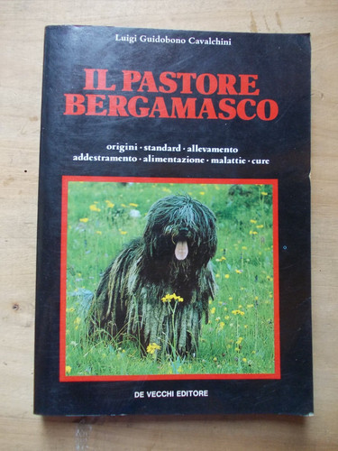Pastore bergamasco luigi - pastore,