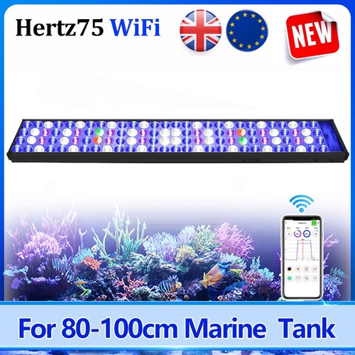 Popbloom h75 wifi acquario - popbloom,
