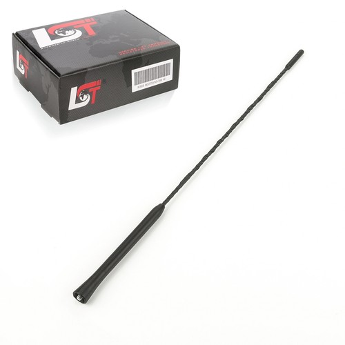 Antenna asta autoradio antenna
