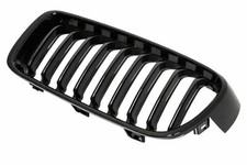 Genuine OEM Front Left Grille
