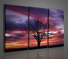 QUADRI MODERNI FANTASTIC TREE WHIT SUNSET ARREDAMENTO CASA QUADRO TRITTICO TELA