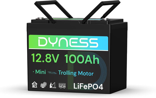 Batteria lifepo4 12v 100ah - batteria,