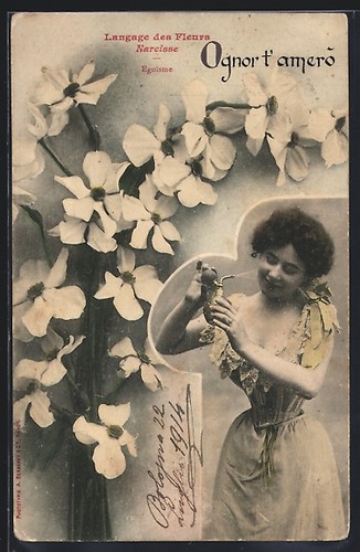 Cartolina langage des fleurs - cartolina,