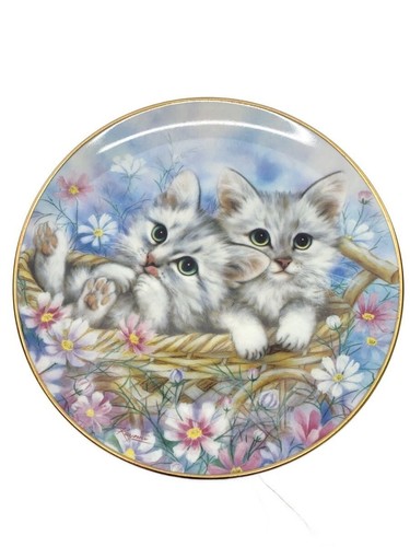 Piatto wedgwood - piatto, wedgwood/piatto