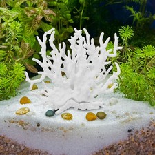  Decorazioni Per Acquari