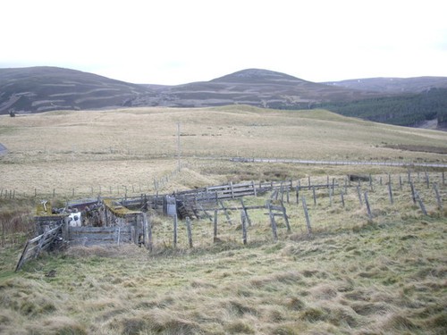 Photo 6x4 old - 6x4, sheepfold