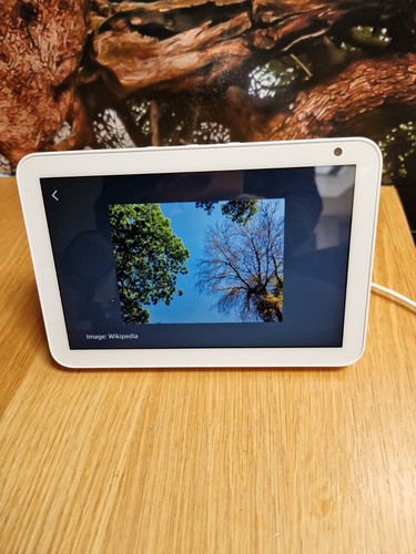 Amazon echo show bianco - 8,