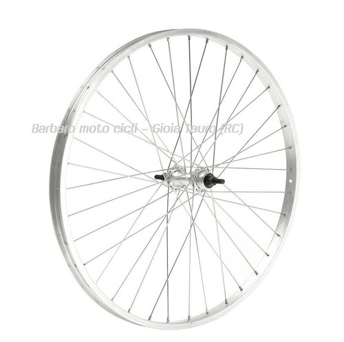 Ruota cerchio anteriore - cerchio,