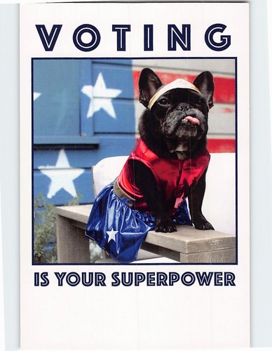 Votare tuo superpotere - votare, il