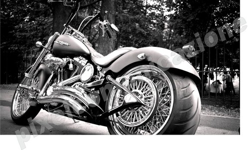 Quadri moderni poster harley - moderni,
