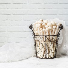  Sfondi Per Foto Carta