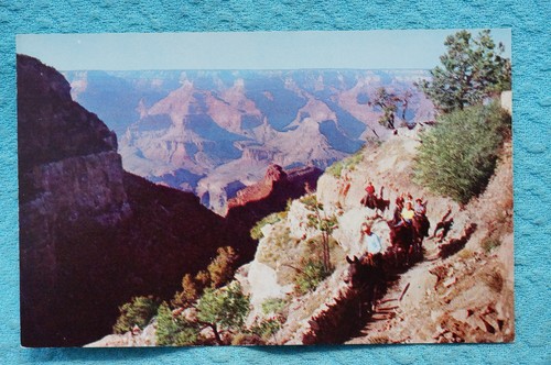 Bright angel trail parco - angel,