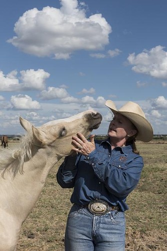 Foto venere texas - foto:venere,