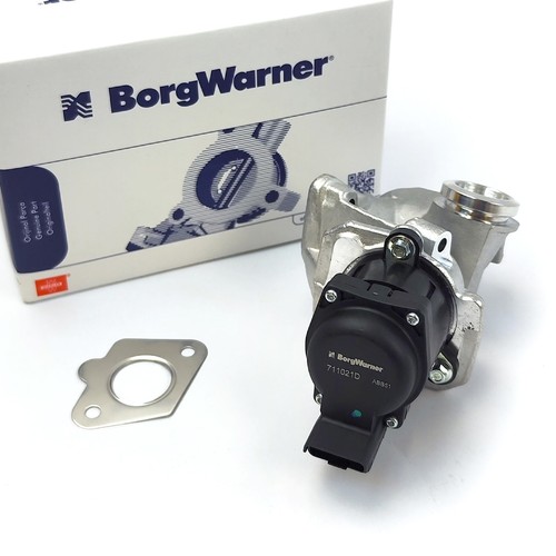 Borgwarner 711021d valvola egr - 711021d,