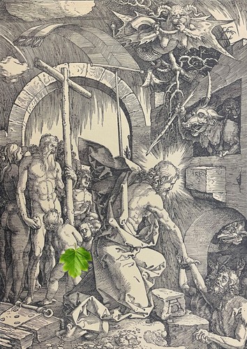 Albrecht durer 1471 1528 - albrecht, il
