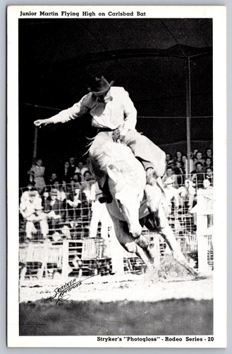 Cartolina cowboy junior - cartolina,