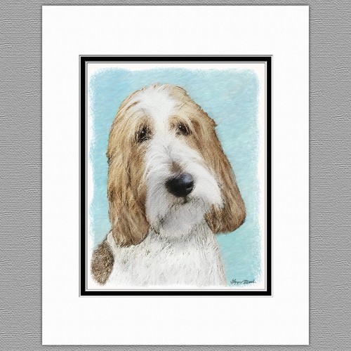 Grand basset griffon vendeen - griffon,