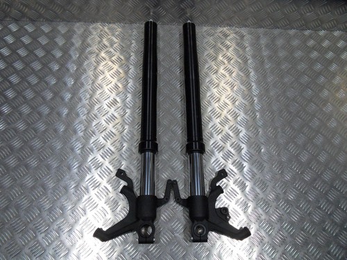 Coppia gambe forcella