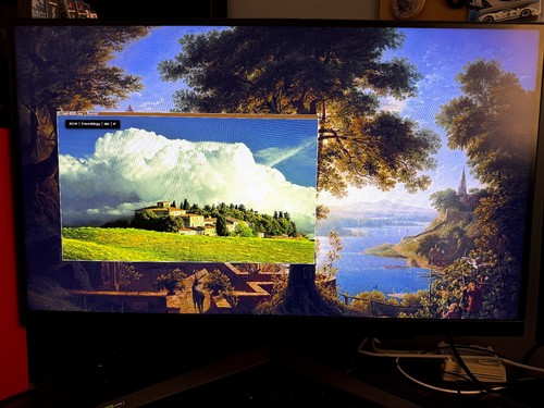 Monitor schermo lg - monitor, pc