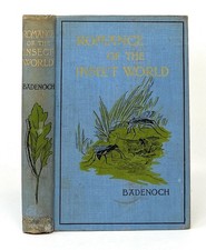 L N Badenoch, Margaret J D