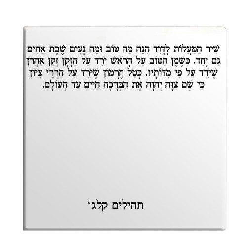 Calamita frigo salmi capitolo - frigo,