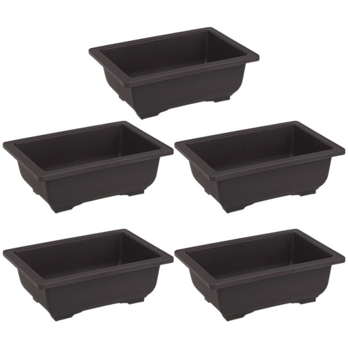 5pcs bonsai vasi - bonsai,