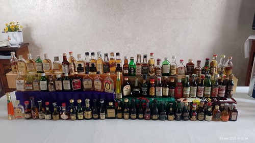 Lotto mignon liquori - 87,