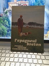 Epagneul breton piccolo - breton,