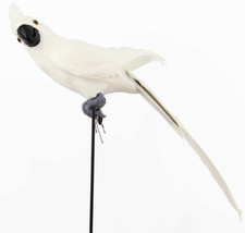 Pappagallo Artificiale Casa