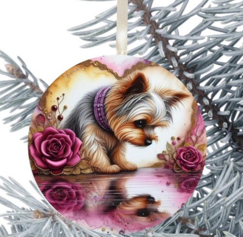 Yorkshire terrier cucciolo - terrier,