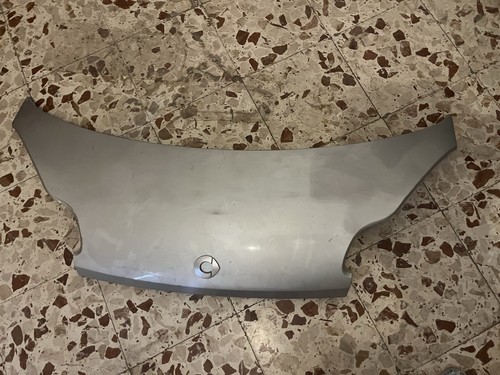Cofano anteriore grigio - anteriore,