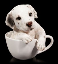 Cani figura dalmata - cani,