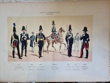 Stampa recante uniformi dell'Arma dei Carabinieri del Regno Sardopiemontese