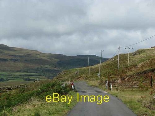 Photo 6x4 cattle grid - cattle, across