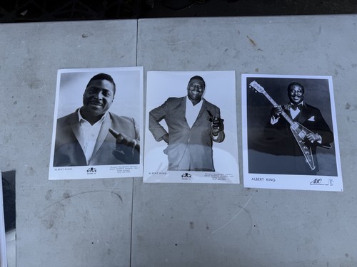 Lotto albert king posa - albert, in
