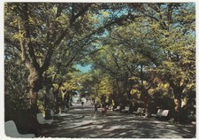 MESAGNE - BRINDISI - VILLA