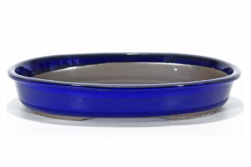 Vaso bonsai ovale smaltato blu
