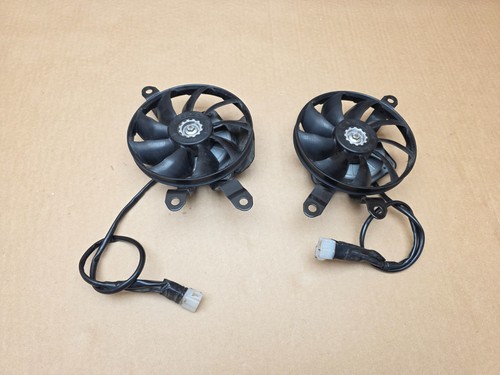 Coppia ventole radiatore