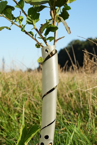 Protezioni per alberi - protezioni,