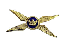  💎 distintivo brevetto da