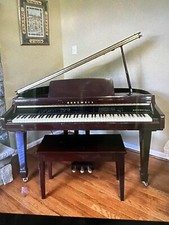 Kurzweil mark 110 - mark,