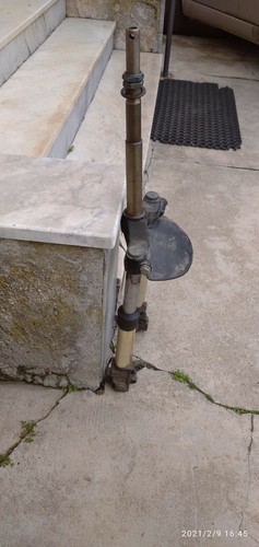 Forcella anteriore integra - anteriore,