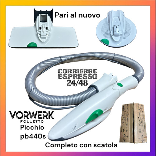 Picchio folletto 440 - s, +