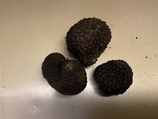 Tartufo Nero Uncinato 100 Gr Di Prima Scelta Gusto  Pregiato Per i Tuoi Piatti