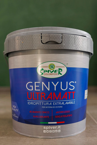 Pittura per interni - pittura,