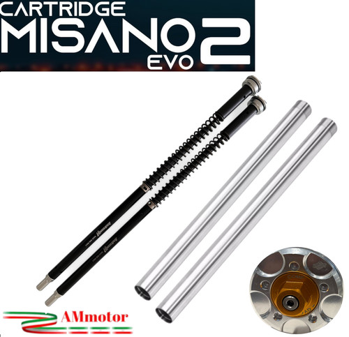 Cartuccia forcella ducati - forcella,