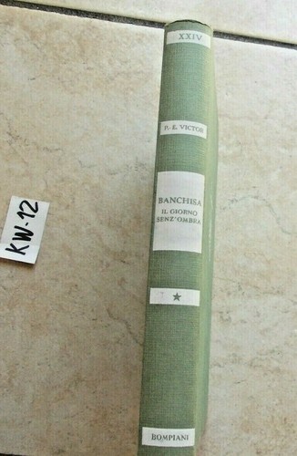 Libro banchisa giorno - libro,