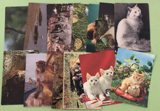 LOTTO STOCK - 50 CARTOLINE